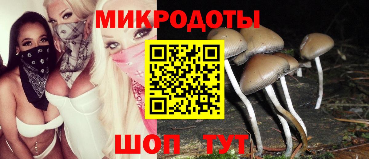 Псилоцибиновые грибы MAGIC MUSHROOMS Долгопрудный